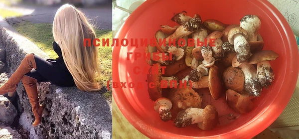 бошки Арсеньев