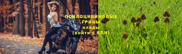 дурь Новозыбков