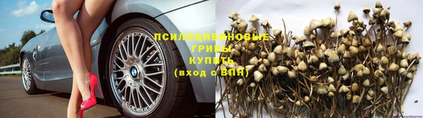 МДПВ Аркадак