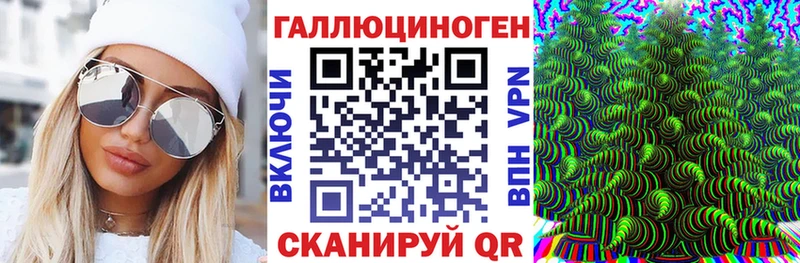 сколько стоит  Рудня  Псилоцибиновые грибы Cubensis 