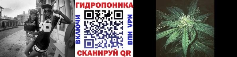 Канабис MAZAR  Рудня 